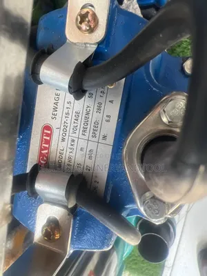 Buggati Sewage Pump
