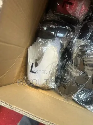 Shoes Protector