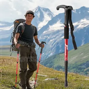 Adjustable Hiking Or Walking Stick