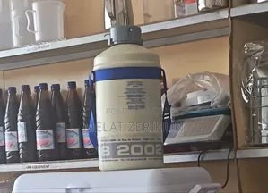 Nitrogen Container