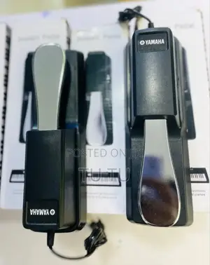 Sustain Pedal
