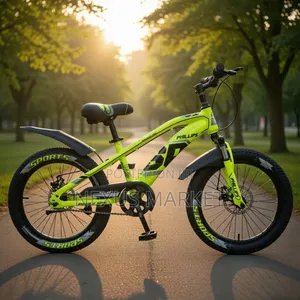 Phillips Bike