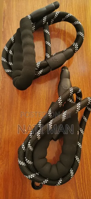 Pets Accessories