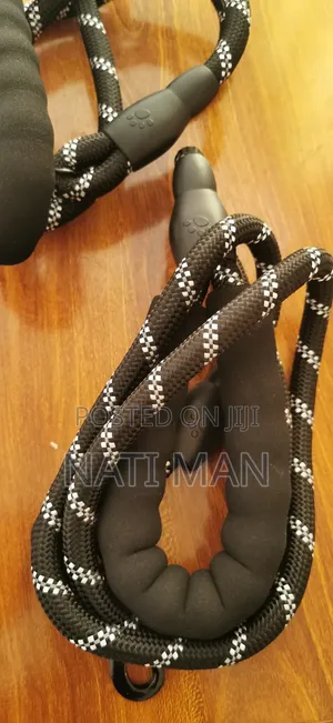 Pets Accessories