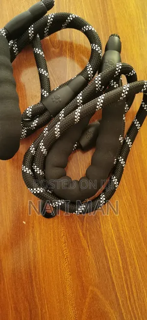 Pets Accessories