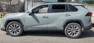 Toyota RAV4 Limited AWD 2020 Gray