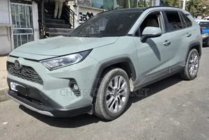 Toyota RAV4 Limited AWD 2020 Gray