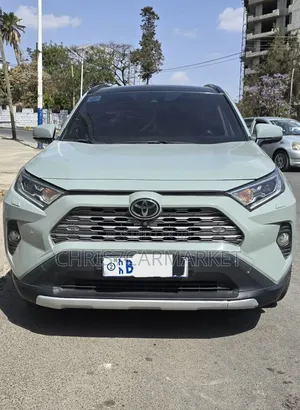 Toyota RAV4 Limited AWD 2020 Gray