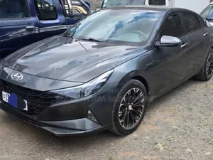 Hyundai Elantra 2021 Gray