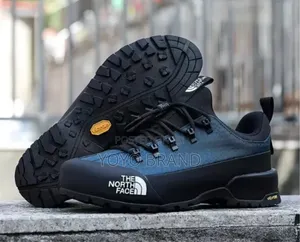 New Arrived the North Face Blue Fashion Sneaker Shoes