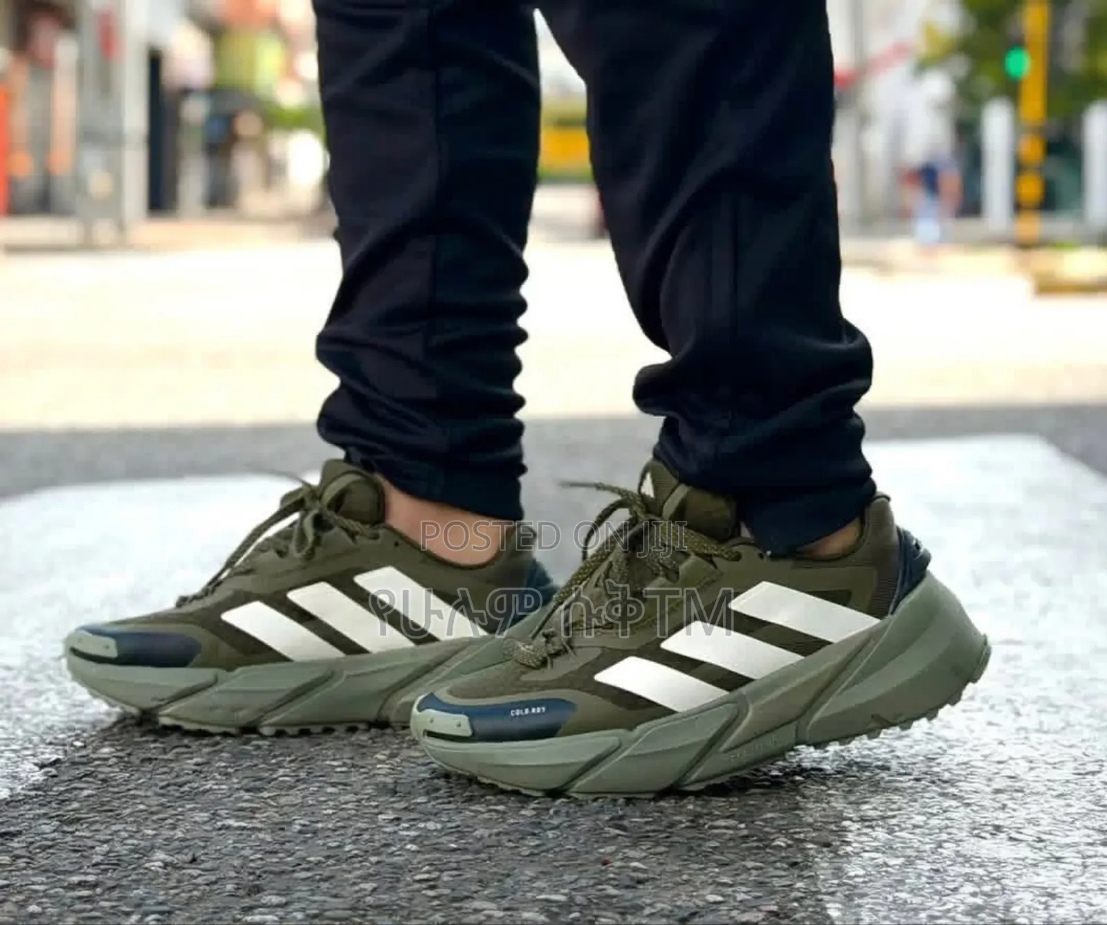 Adidas Terrex Adistar Anylander Rain.Rdy 'Green/White' Men's Shoes