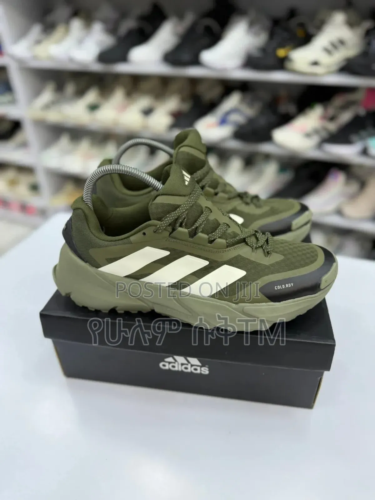 Adidas Terrex Adistar Anylander Rain.Rdy 'Green/White' Men's Shoes