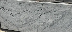 White Viscon Granite