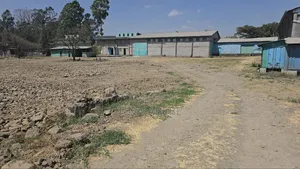 አስቸካይ የሚሸጥ መጋዘን