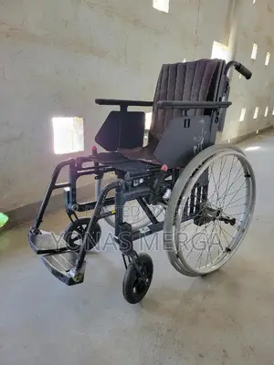 Europe Wheelchair繇嶪affordable Custom Wheelchair for Disabled People
