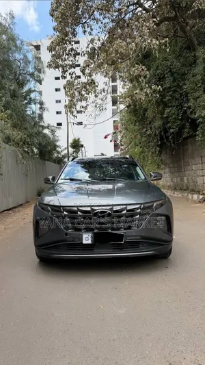 Hyundai Tucson 2021 Brown
