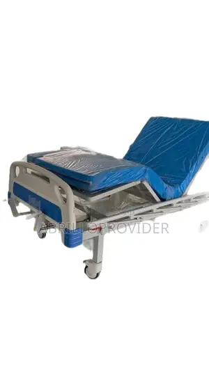Reasonable Price High Quality Bed With 2 Crank Steel Construction For