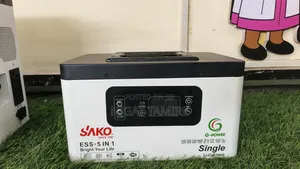 Portable All in One Lithium Ion Battery and Inverter