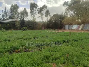 Space Land for Sale