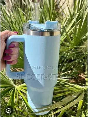 Double Layer Stainless Still Isolated Tumblers With Straw (Travel Cup)