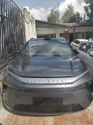 New BYD Tang EV 2025 Gray