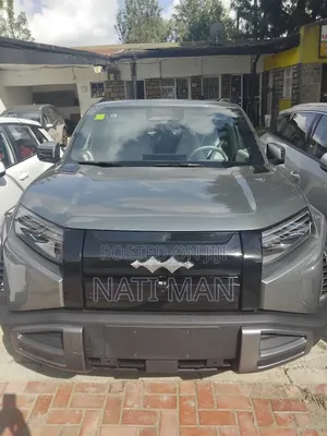 New BYD Leopard 3 2025 Silver