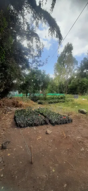 4bdrm House in ዋናው መንገድ, Akaky Kaliti for sale