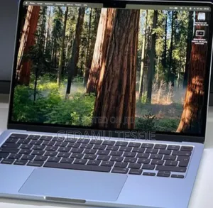 New Laptop Apple MacBook Air 2025 M4 13-inch 16GB SSD 256GB