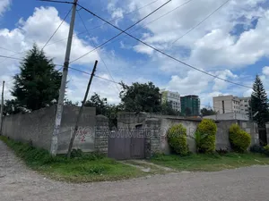 Megenagna 24