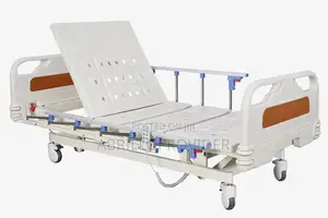 Aluminium Two Functional Motorized Hospital Bed for Patient at Home,