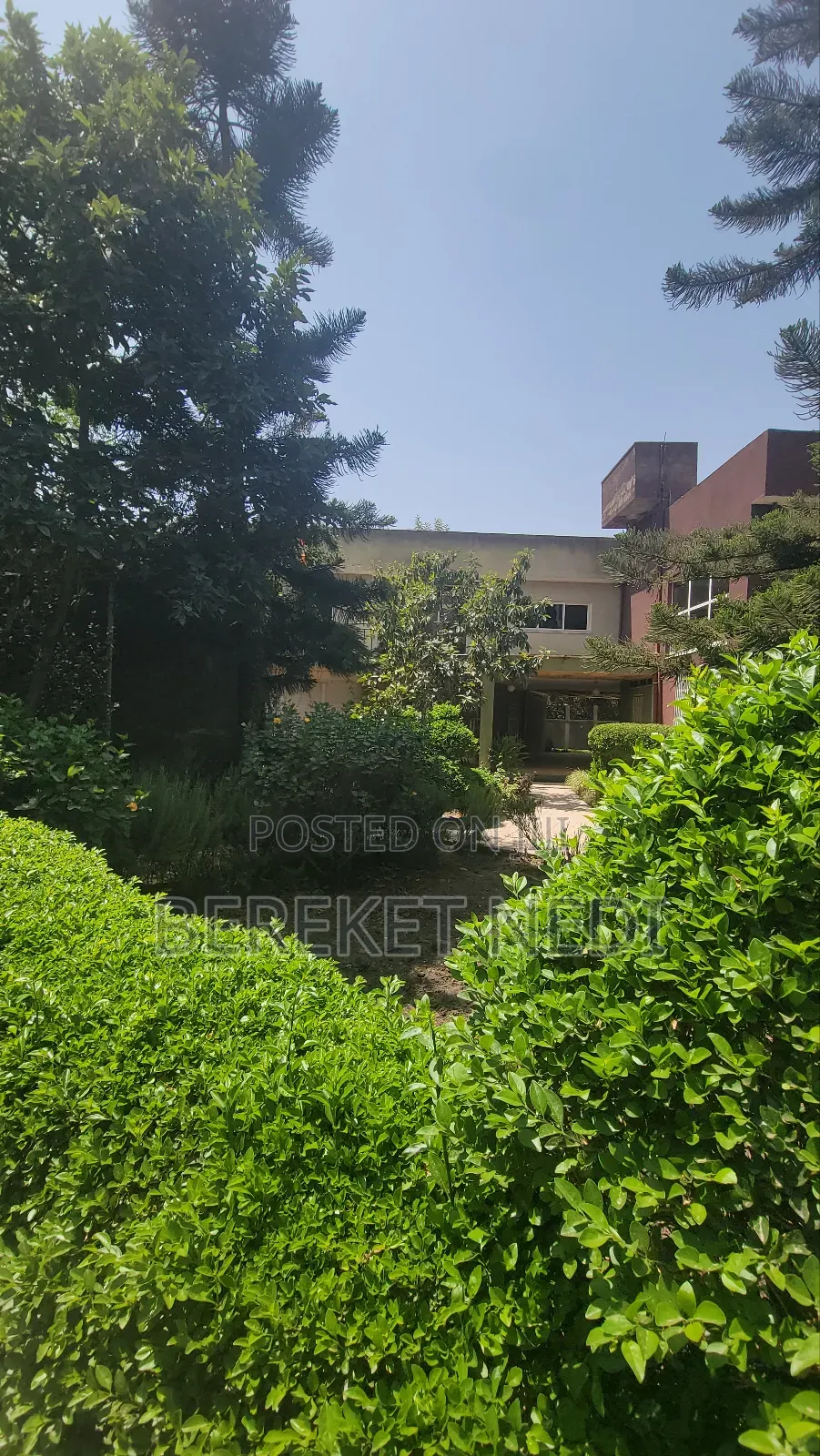 6bdrm Mansion in Getshet, East Shewa for rent