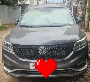 Dongfeng Glory 2023 Gray