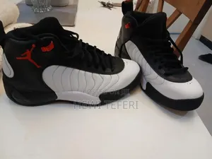 Jordan Jumpman Pro