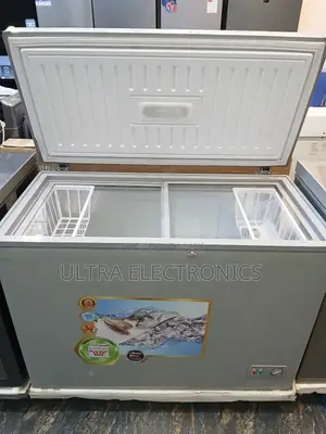 Everest Chest Freezer, Likely a 300-Liter Model Based on Similar