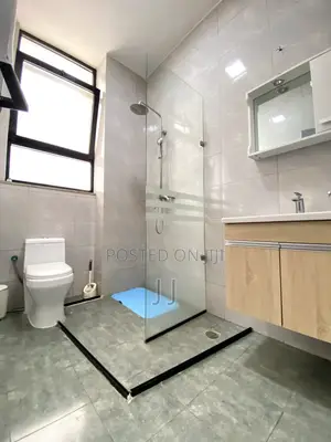 Furnished 1bdrm Apartment in Bole for rent