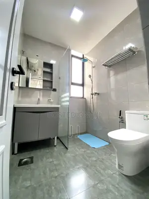 Furnished 2bdrm Apartment in Bole for rent