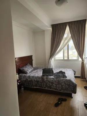 Furnished 2bdrm Apartment in ወሰን, Yeka for sale