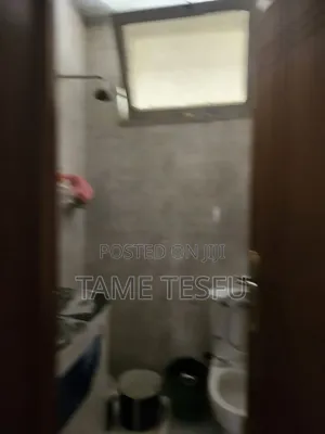 Furnished 2bdrm Apartment in ወሰን, Yeka for sale