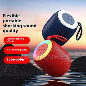 Portable Mini Speaker