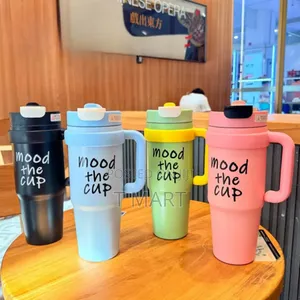 Double Layer Stainless Still Isolated Tumblers With Straw (Travel Cup)