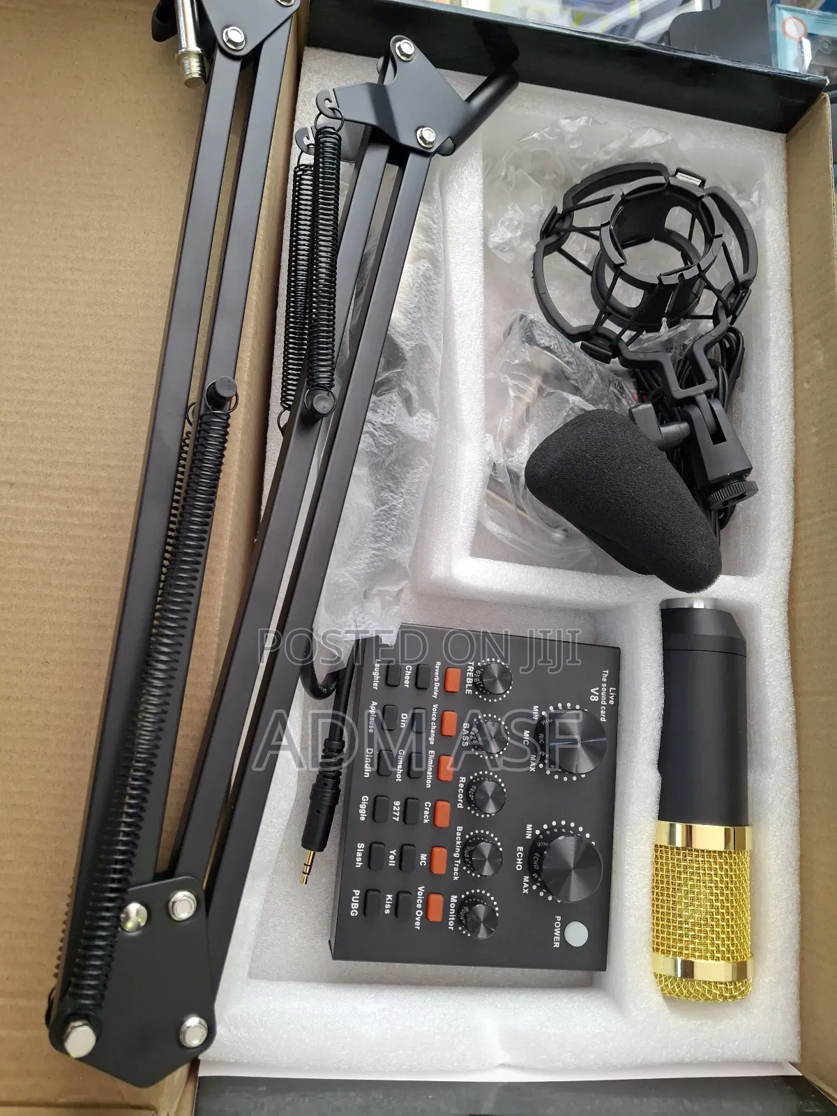 Professional Condenser Microphone
