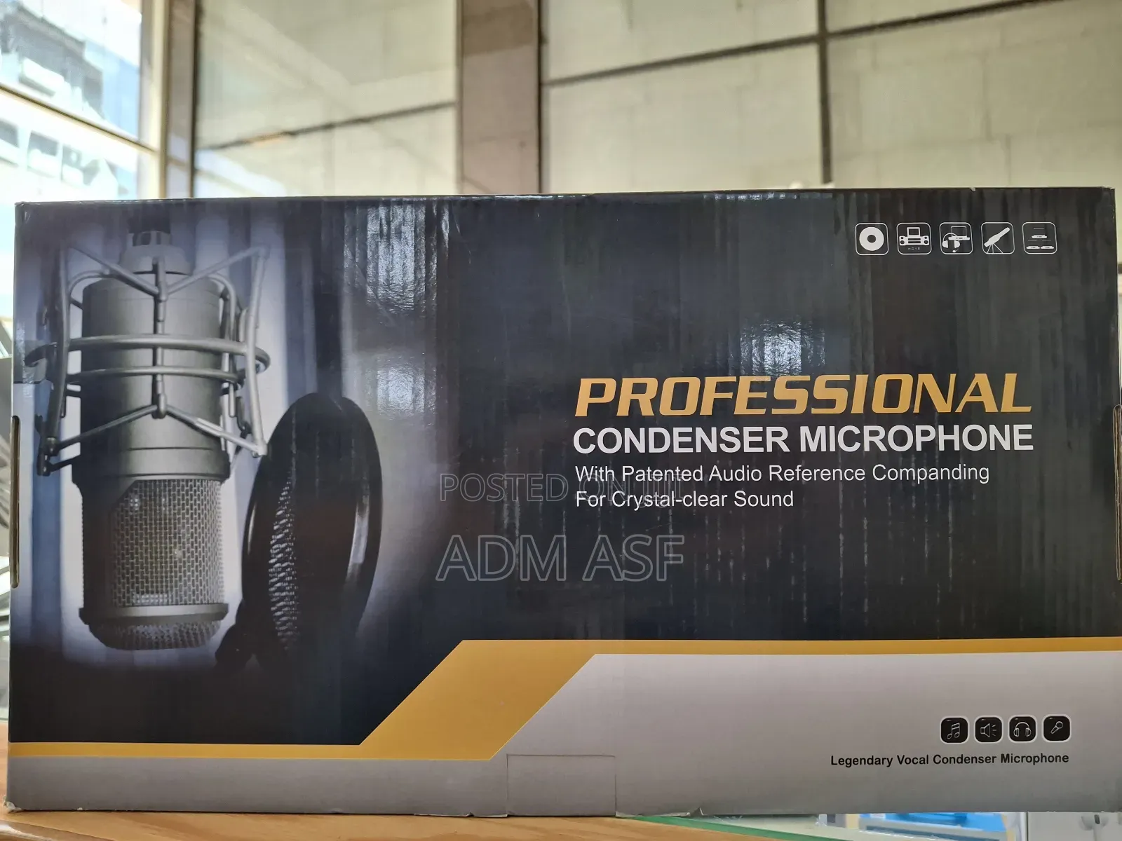 Professional Condenser Microphone