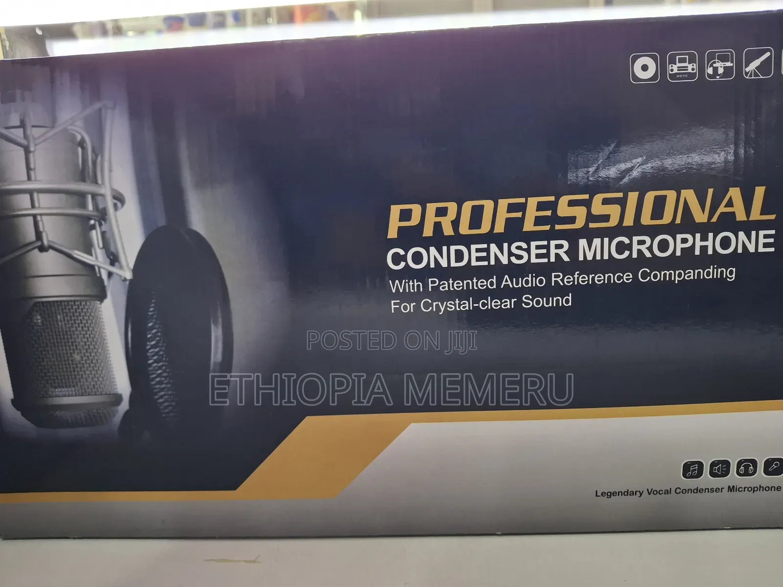 Professional Condenser Microphone