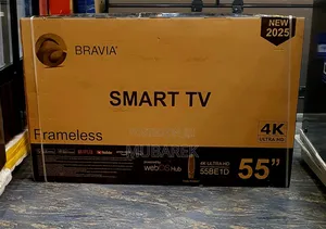 Bravia 55inche Tv