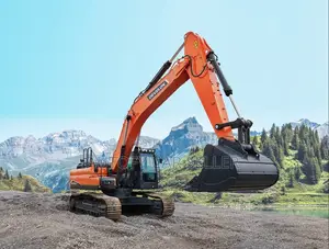 Develon Excavator 360 by Cash
