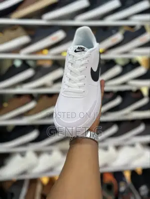Nike Sb Leather
