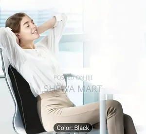 Memory Foam Lumbar Support Office Chair Support for Back Pain Relief