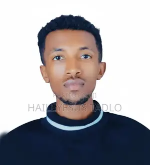 App Developer