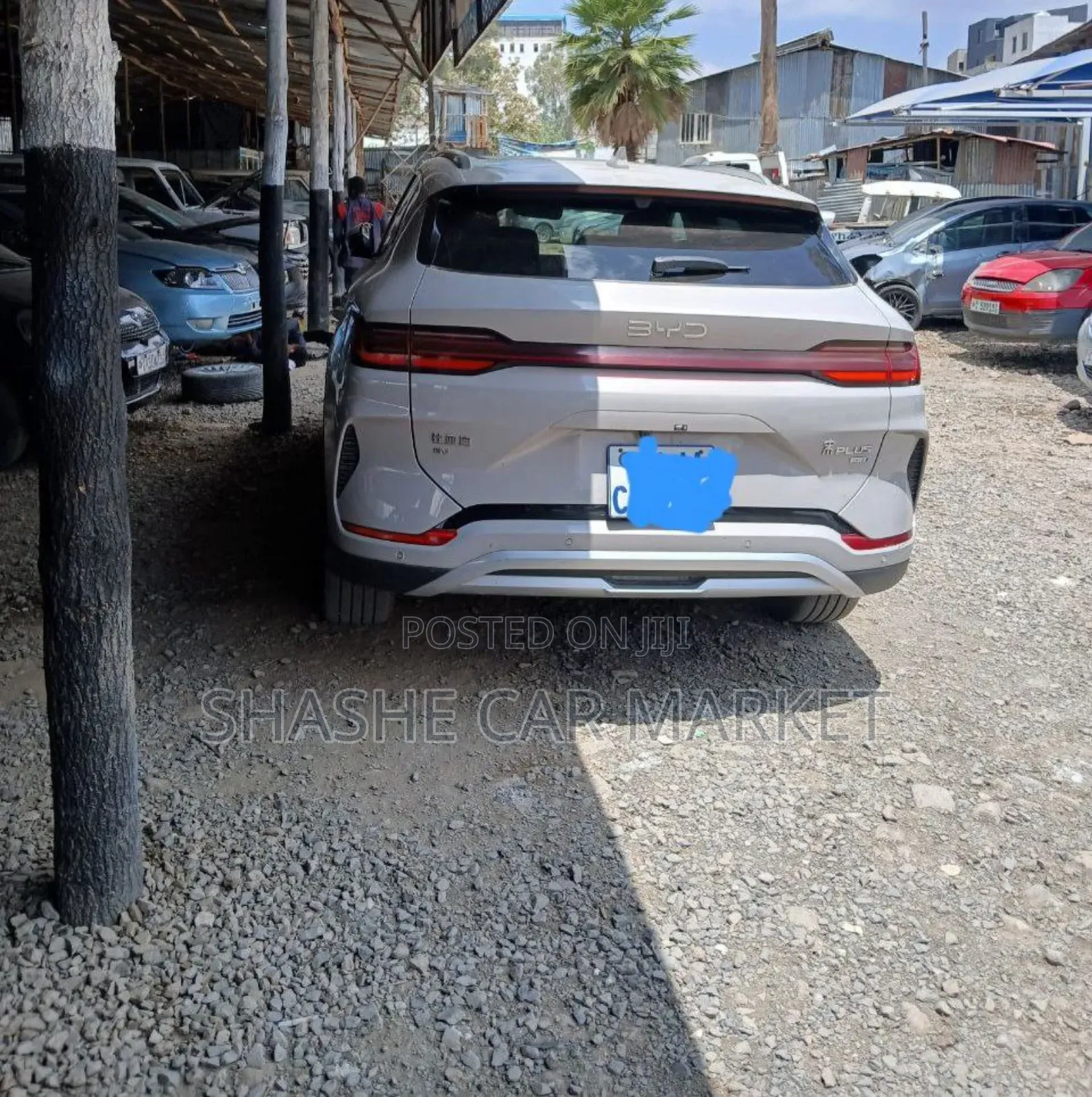 BYD Song Plus 2025 Off white