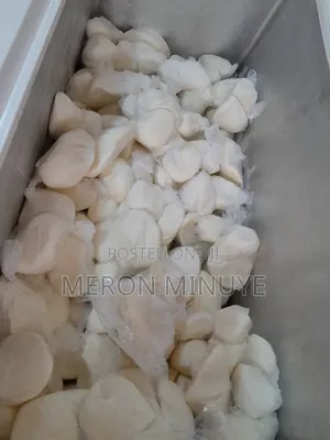 Fresh Mozzarella Cheese